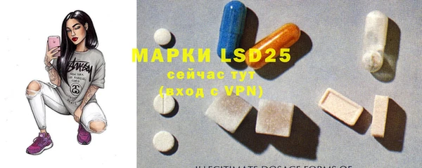 прущие грибы Алзамай