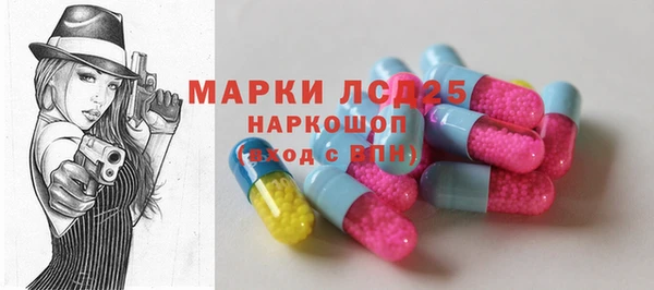 прущие грибы Алзамай