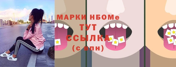 прущие грибы Алзамай