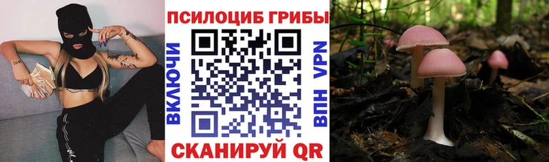 Псилоцибиновые грибы Cubensis  Кропоткин 